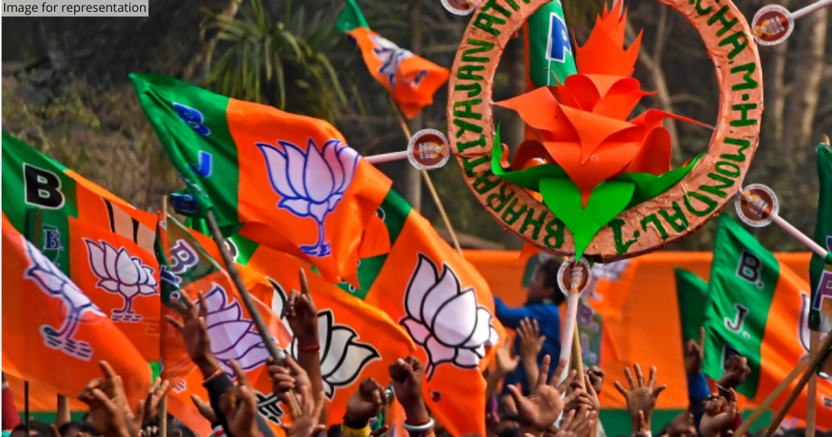 From cow safari to free gas cylinders on Holi, BJP prepares to implement manifesto in UP